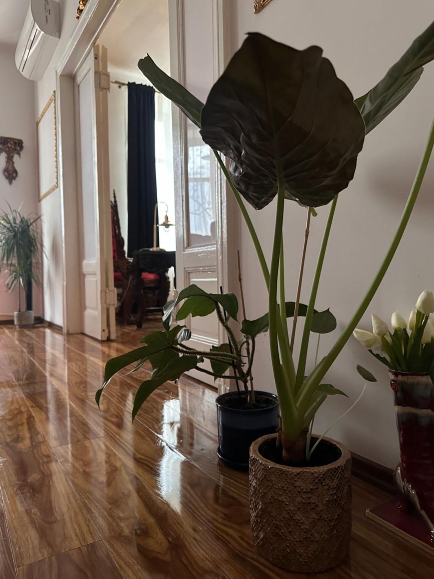 Exclusive Apartment Chmielna Street 95M2 Warschau Exterior foto